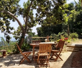 The Pepper Cottage