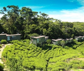 The Rainforest Ecolodge - Sinharaja