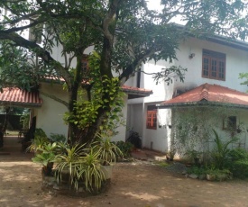 Tranquil Homestay & Tour