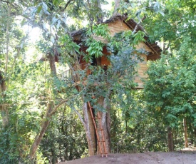 Tree House-Midigama