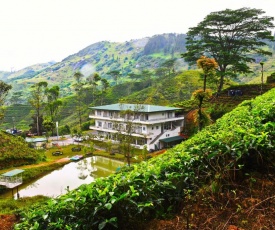 TRINITONS tea view lake resort