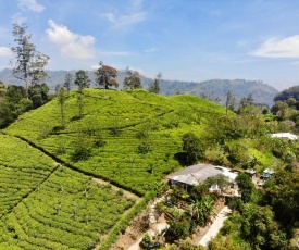 Tunnel Gap Homestay
