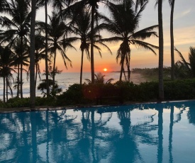 Turtle Bay