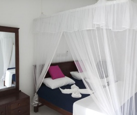 Turtle Bay Beach Resort at Sea Goggle