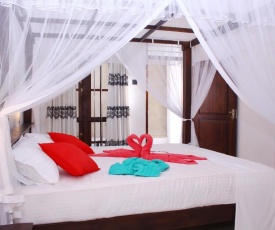 Turtle Reef Guest