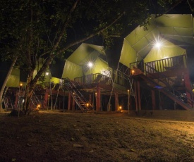 360 Rainforest