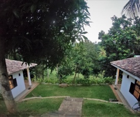 villa tree top view