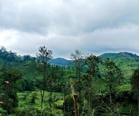Village Nest