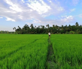 Viveka Inn Guest and Yala Safari