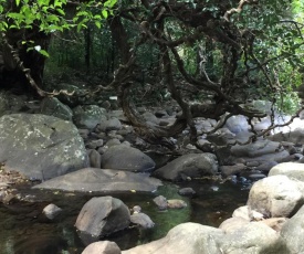 Water View - Belihuloya