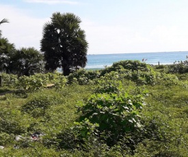 Whisky Point Beach Room and Hostel