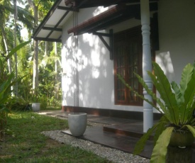 Bird Villa