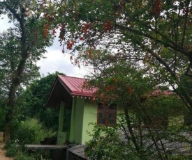 Whiteflowerhomestayella