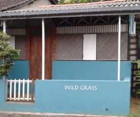 Wild Grass