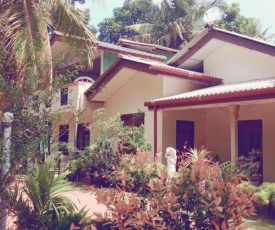 Wild View Stay