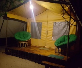 Wilderness Yala