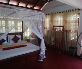 Black Panther Villa
