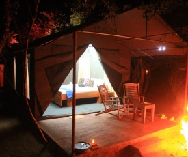 yala night camping