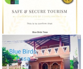 Blue Birds Tissa & Yala safari