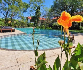 Blue Turtle Hotel