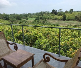 BoBo's Cinnamon Estate Duwabedda Sri Lanka