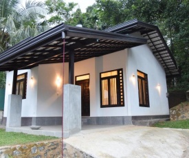 Cinnamon Karapitiya