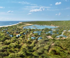 Cinnamon Wild Yala