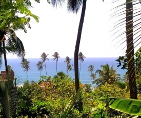 Coconut Hill House