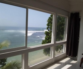 Coconut tree villa