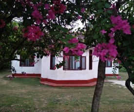 Colonial Surfing Villa Hostel & Home Stay